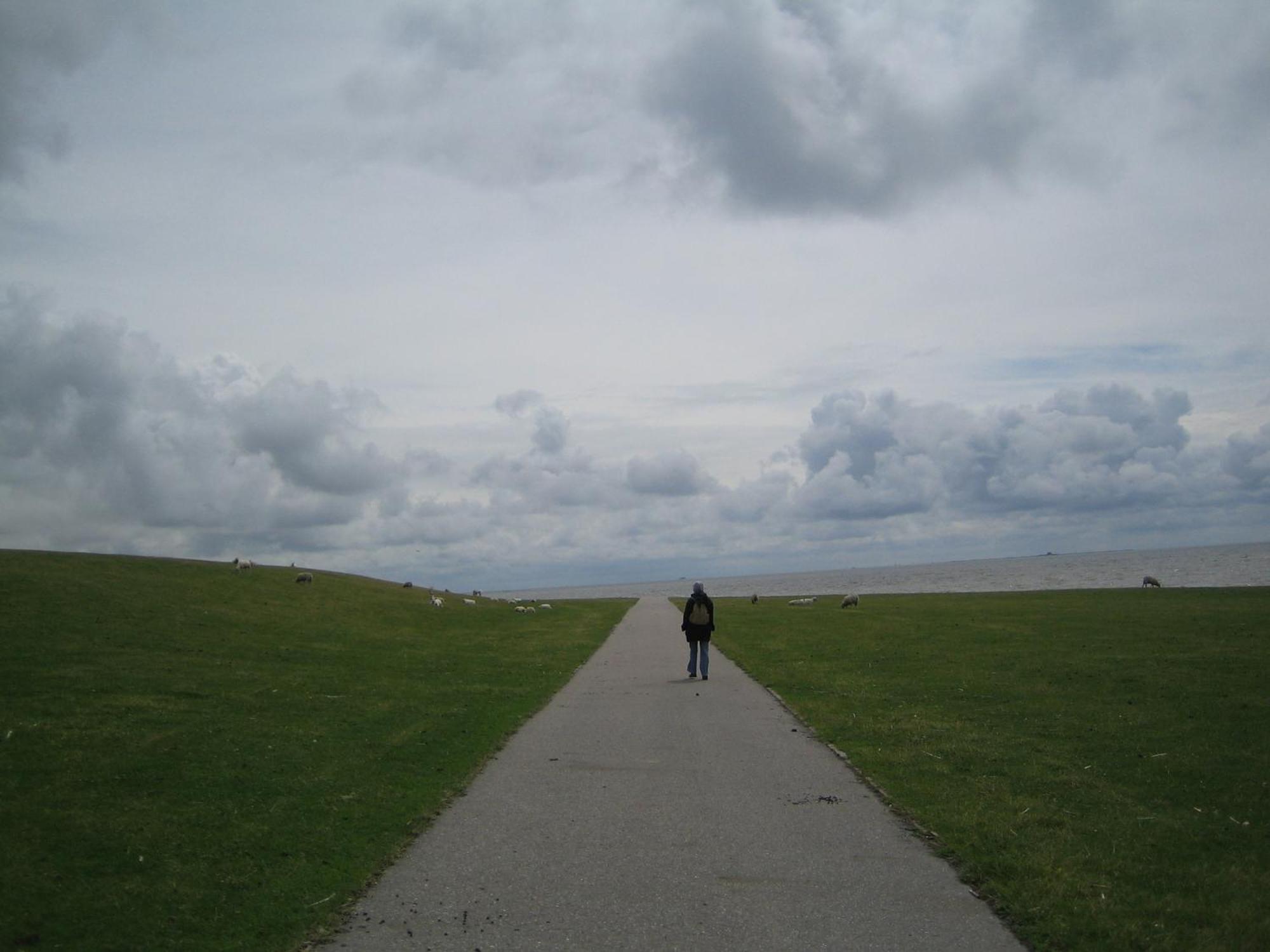 Friesenhaus Am Meer Dagebüll Esterno foto