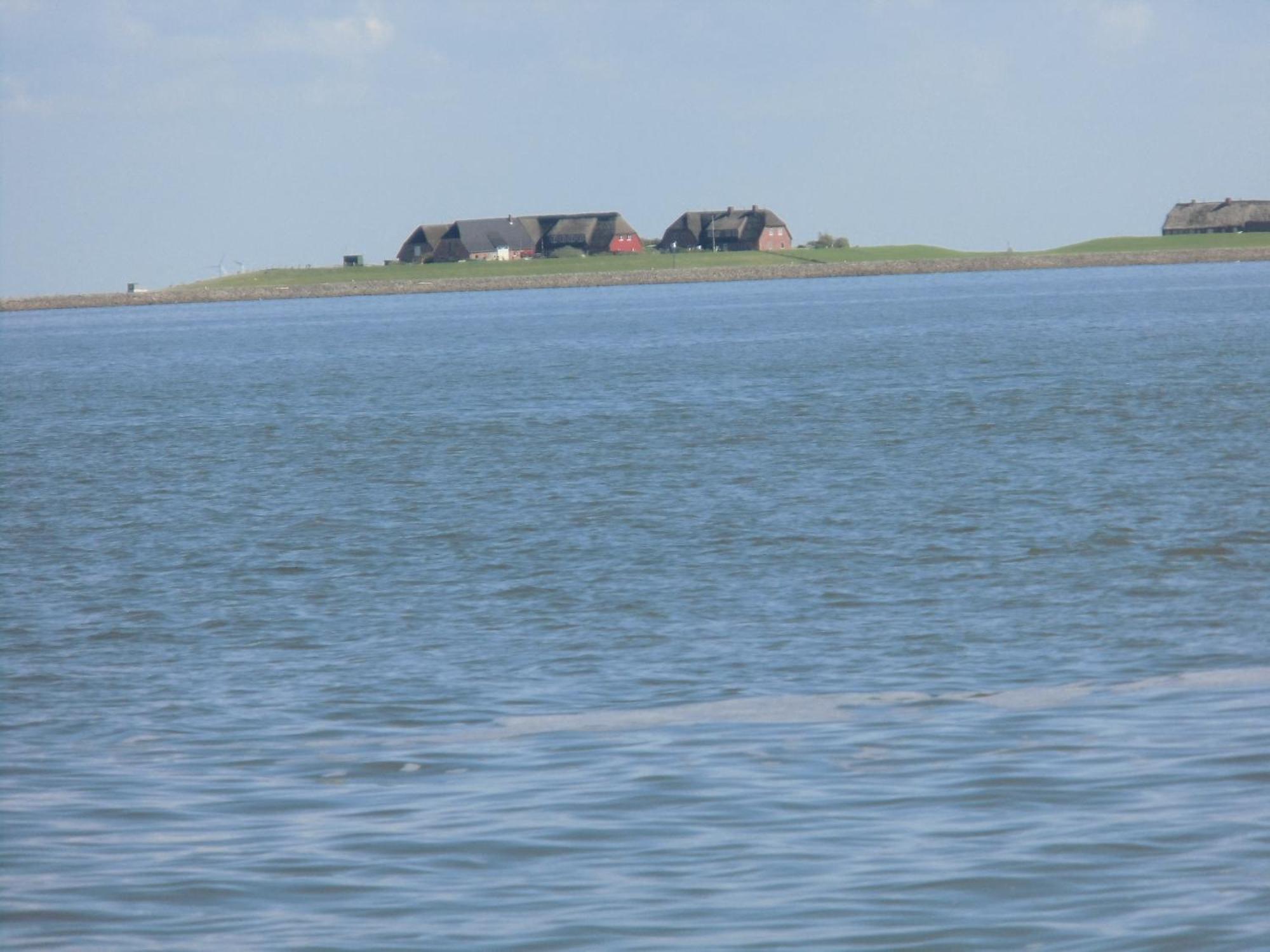 Friesenhaus Am Meer Dagebüll Esterno foto