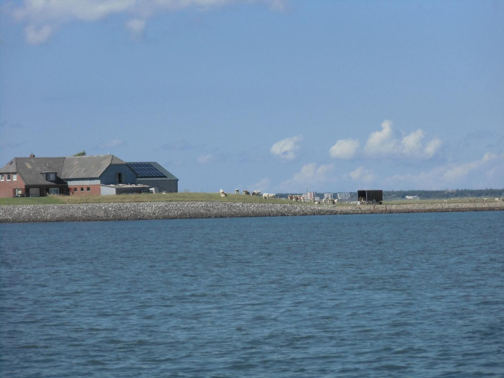 Friesenhaus Am Meer Dagebüll Esterno foto