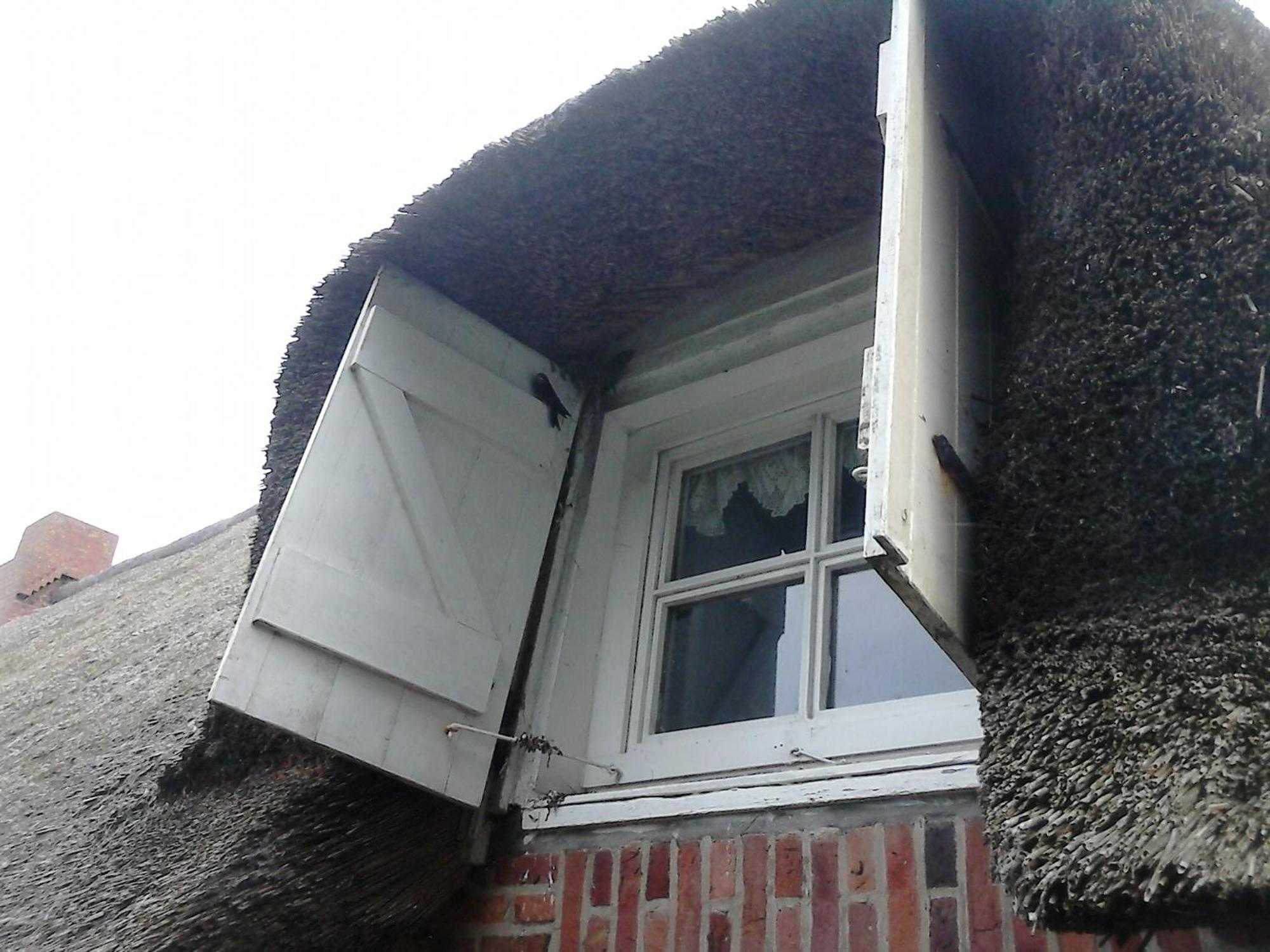 Friesenhaus Am Meer Dagebüll Esterno foto